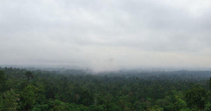 Estratégias para Mitigar os Efeitos da Chuva Ácida no Meio Ambiente